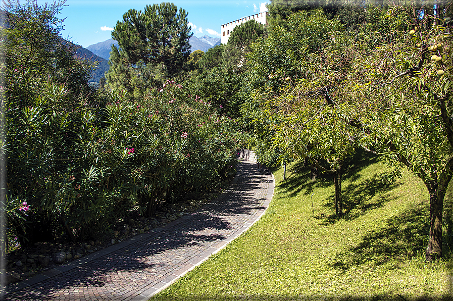 foto Giardini Trauttmansdorff - Giardini del Sole